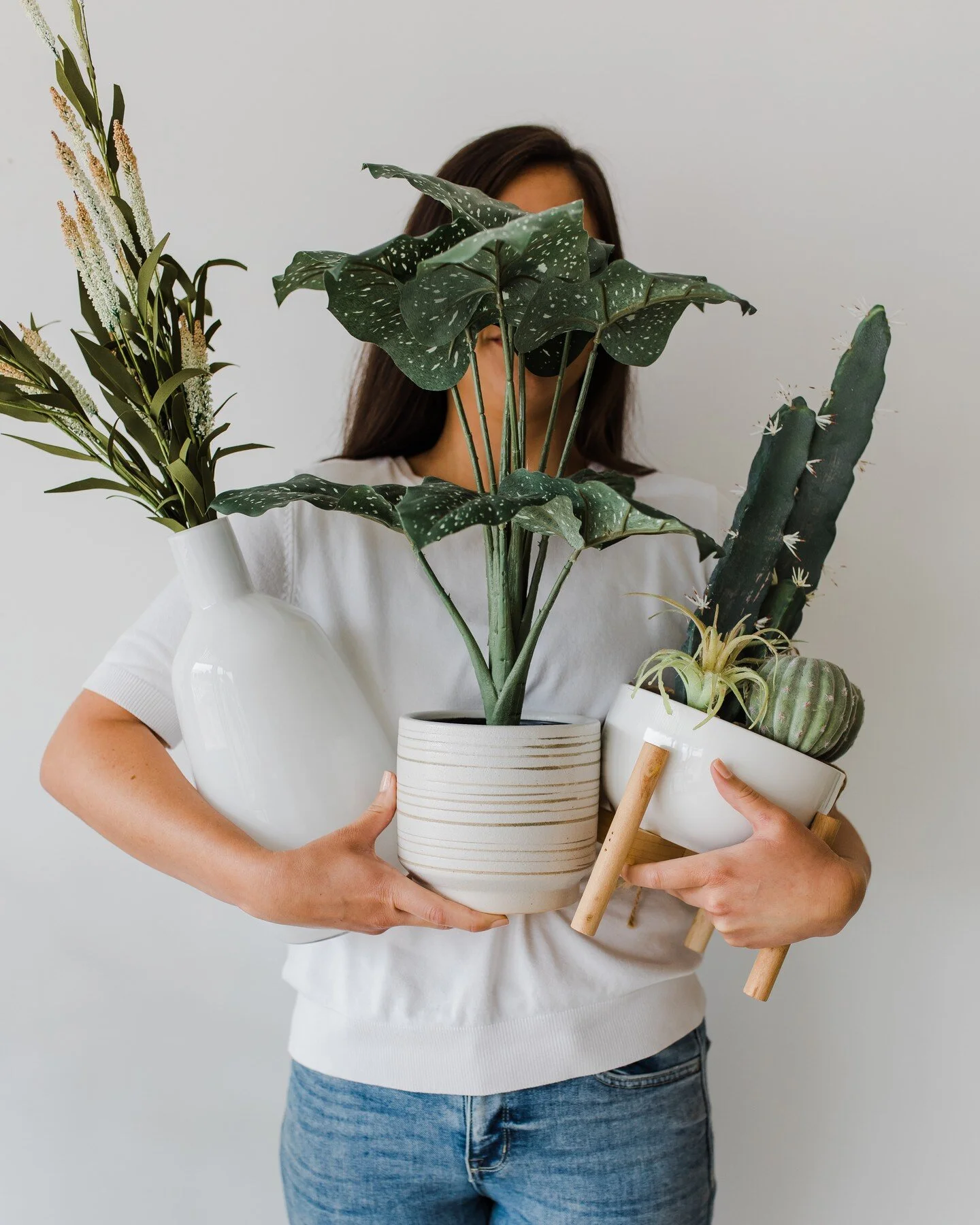 These are my girls. 🥰

Considering adding some new foliage to the studio. Any requests?! Olive tree?! Palm? Let us know. 👇

#photography #photographystudio #naturallightstudio #naturallight #plants #studioplants #props #photographyprops #augusta #a
