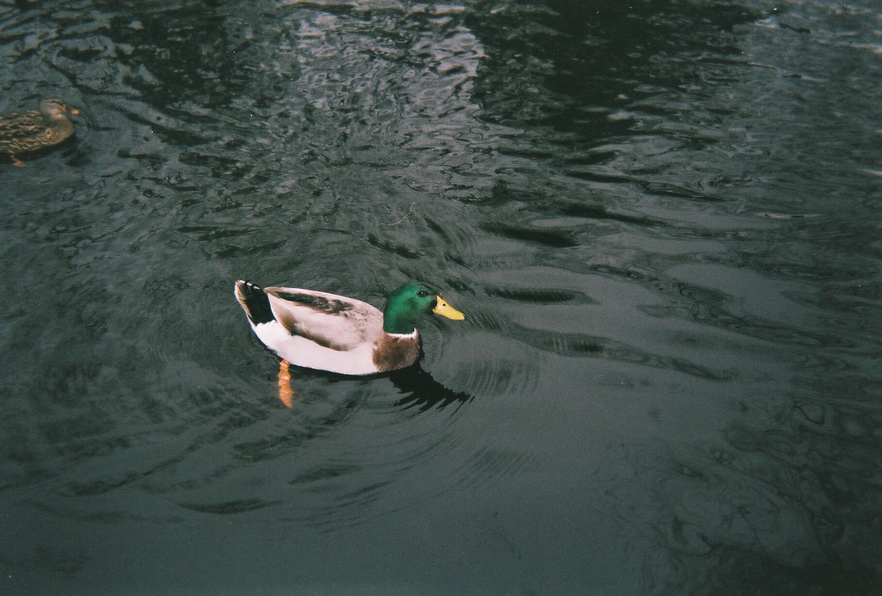 0902 - 09 A.JPG