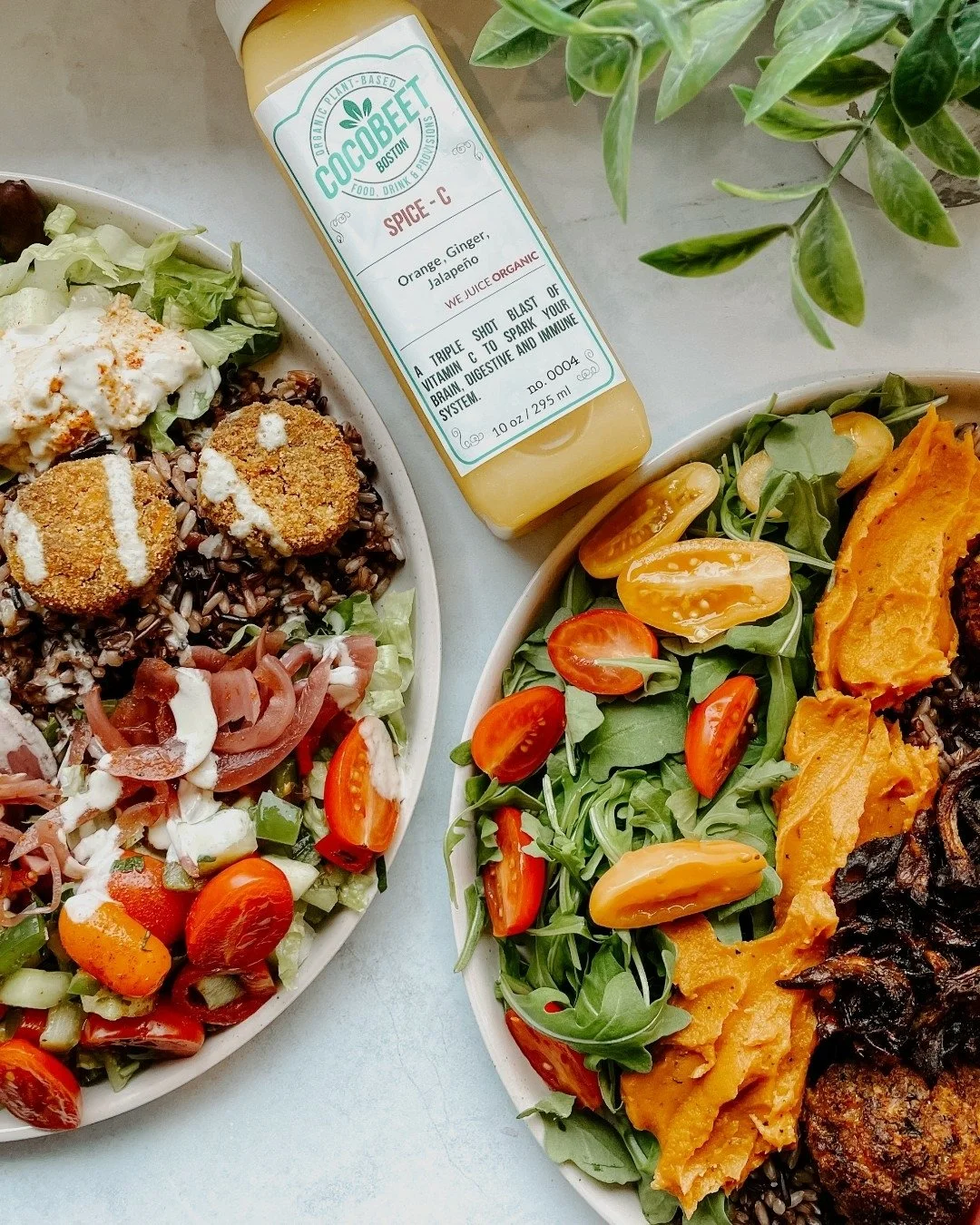 Comfort food that loves you back 🧡

Our warm grain bowls are packed with plant-based proteins, natural fiber, and a variety of antioxidants to help fuel your day and keep your immune system strong this season.

Because plant-based eating shouldn&rsq