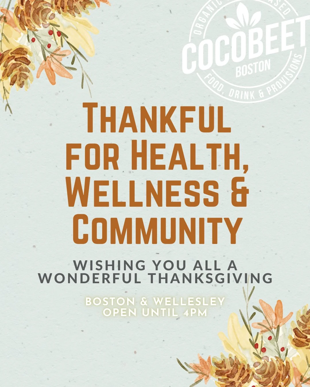 Happy Thanksgiving from all of us at Cocobeet 🍂🤎

Both locations are open today until 4 PM for your last-minute holiday cravings! 

Wishing you all a wonderful holiday with your loved ones.