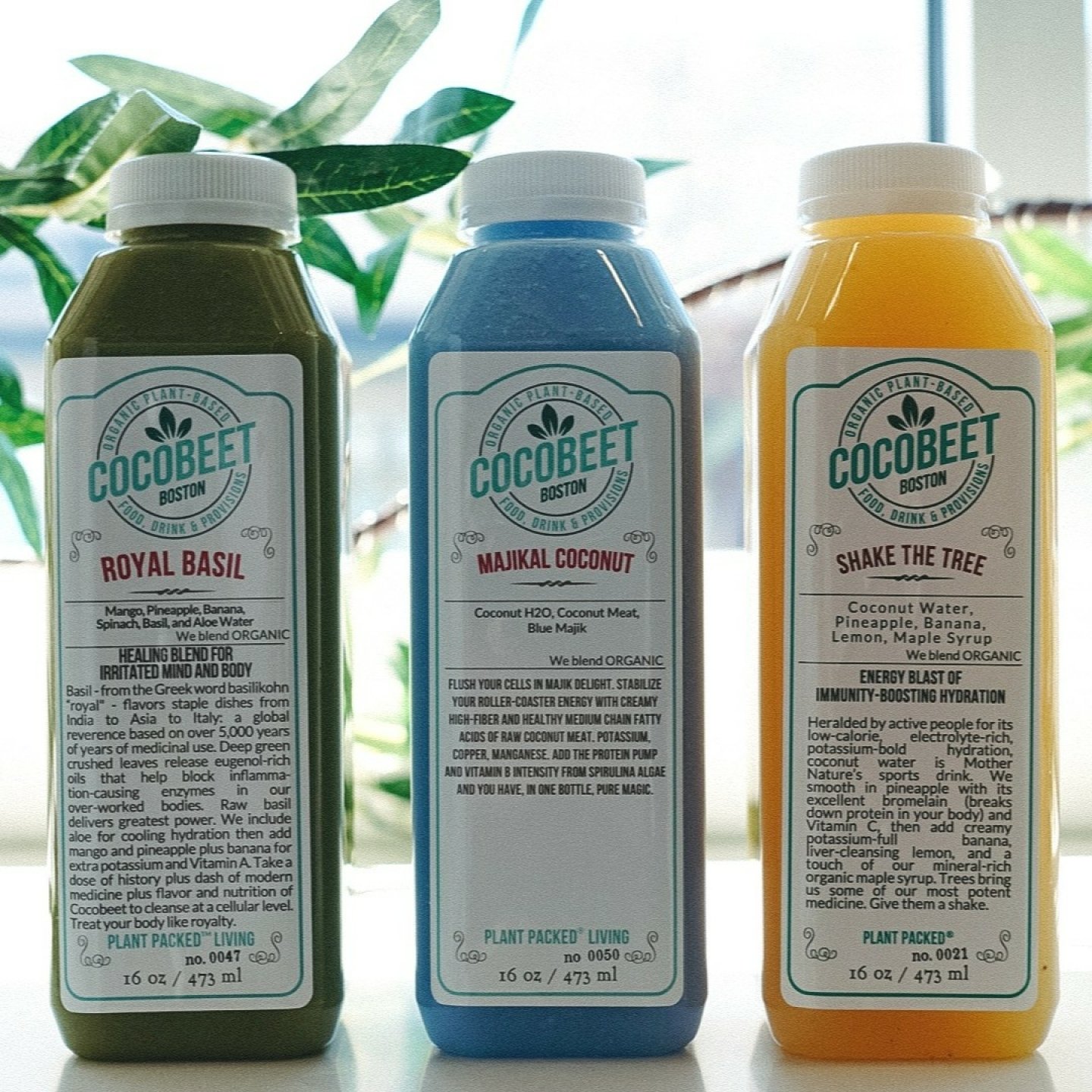 More than juice &mdash; it&rsquo;s a lifestyle. 🥥

At Cocobeet, we skip the pasteurization and HPP so you get maximum nutrients in every sip of every bottle. No ice, no fillers, no shortcuts &mdash; just cold-pressed plants and fresh nut mylks, made