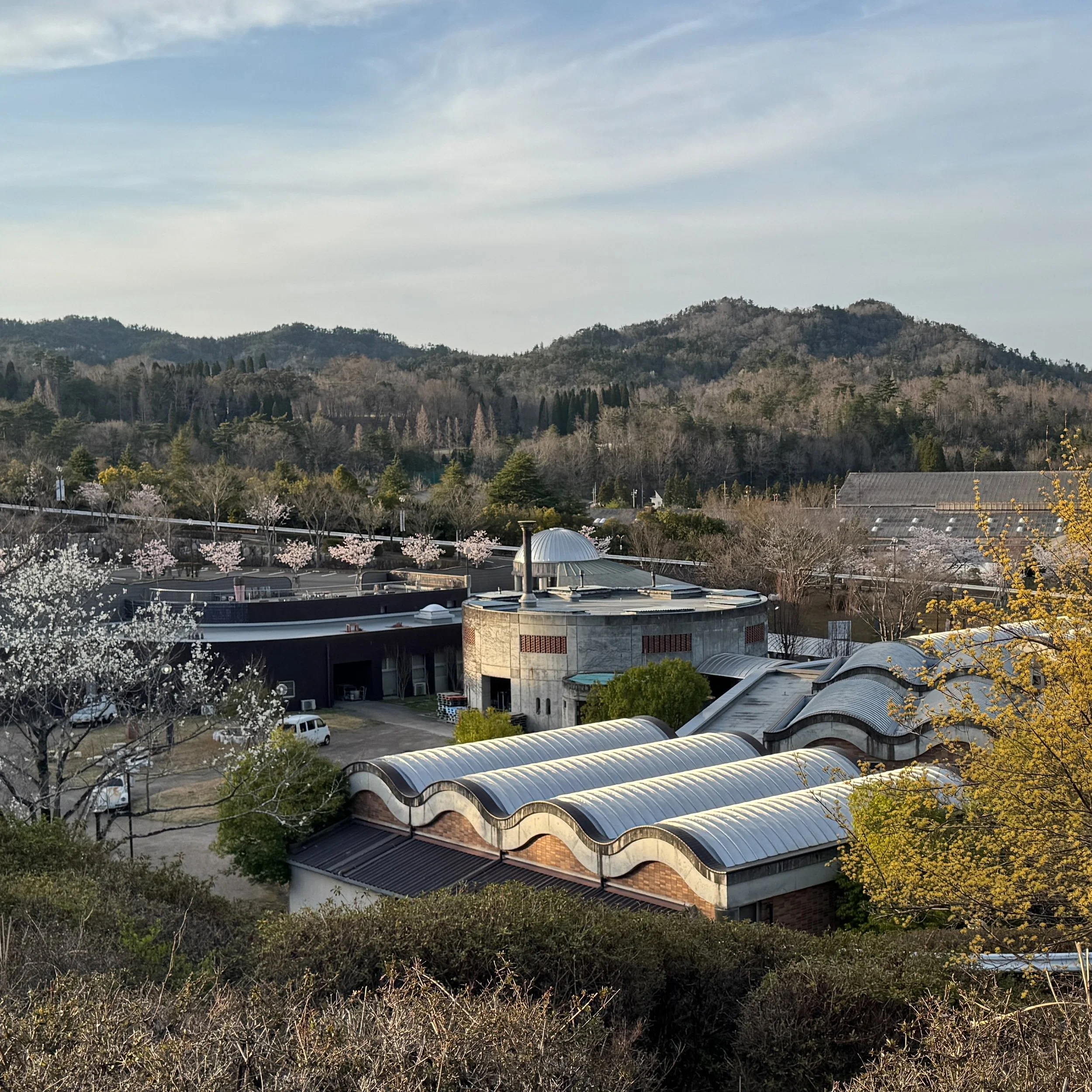 IMG_2597-redigerad.jpg (Copy)