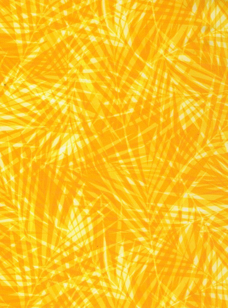 Lemongrass_zoom_b09a93c7-39ed-4fdb-b895-9022391d4db1_5000x.jpg