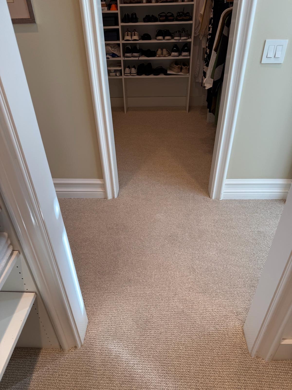 View of a walk-in closet with beige carpet, white shelving with shoes, and hanging clothes.