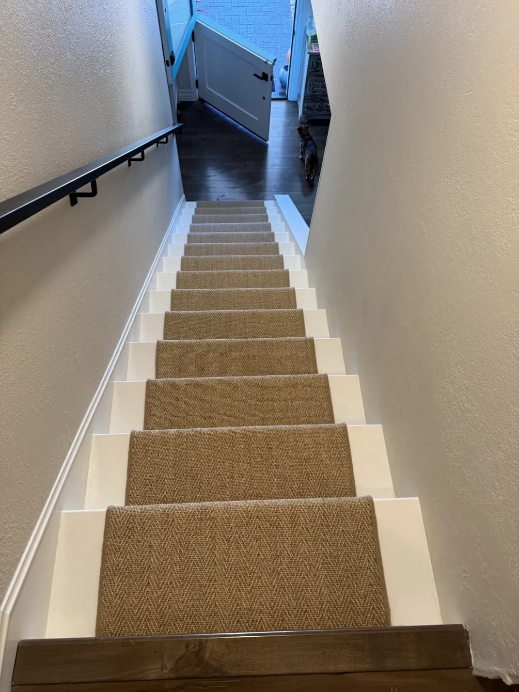 View from the top of a staircase looking down, showing steps with brown carpet runners, a black handrail on the left, and a small dog at the bottom near an open door leading outside.