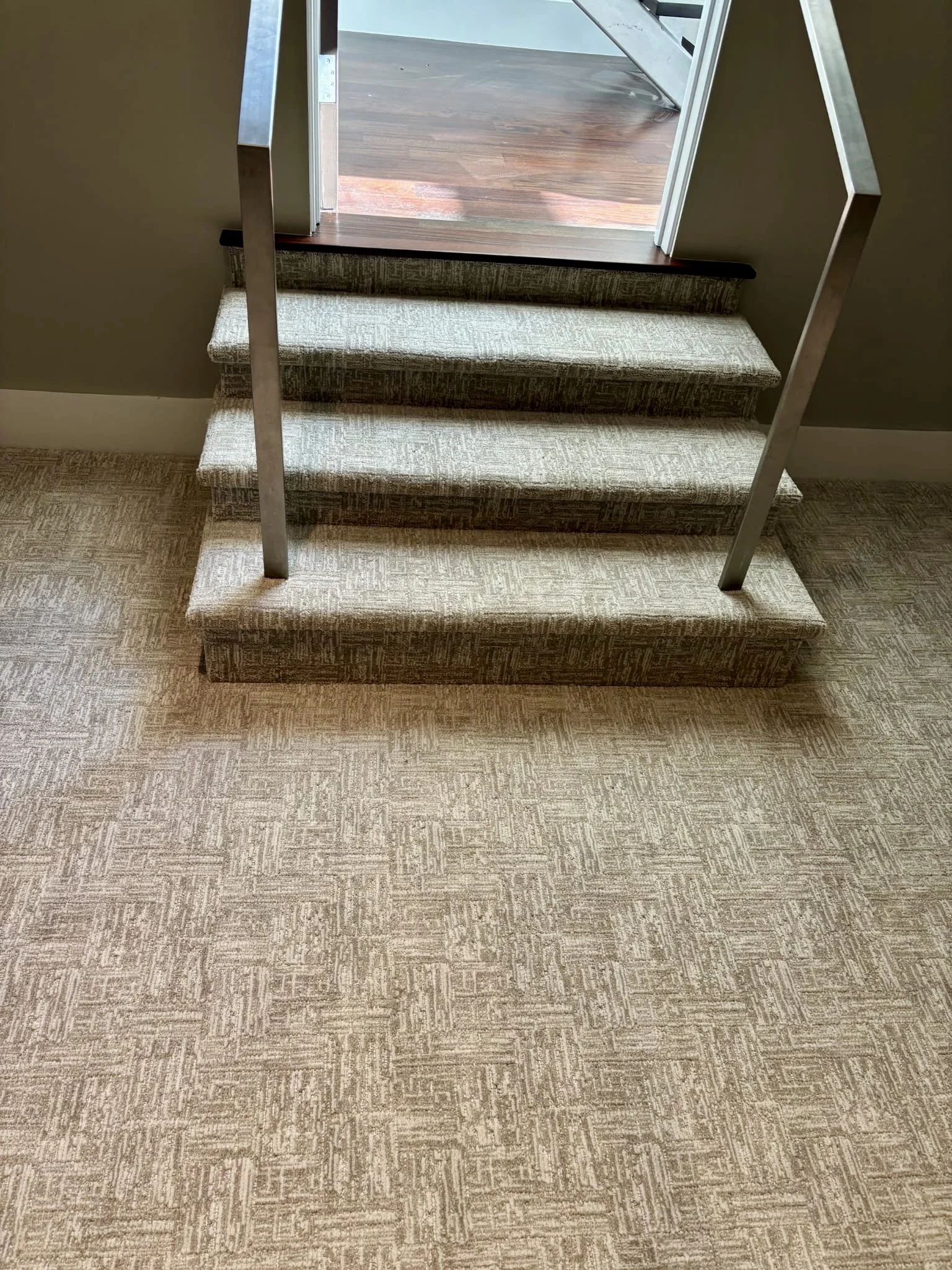 Indoor view of a staircase with carpeted steps and stainless steel handrails, leading to a wooden floor outside.