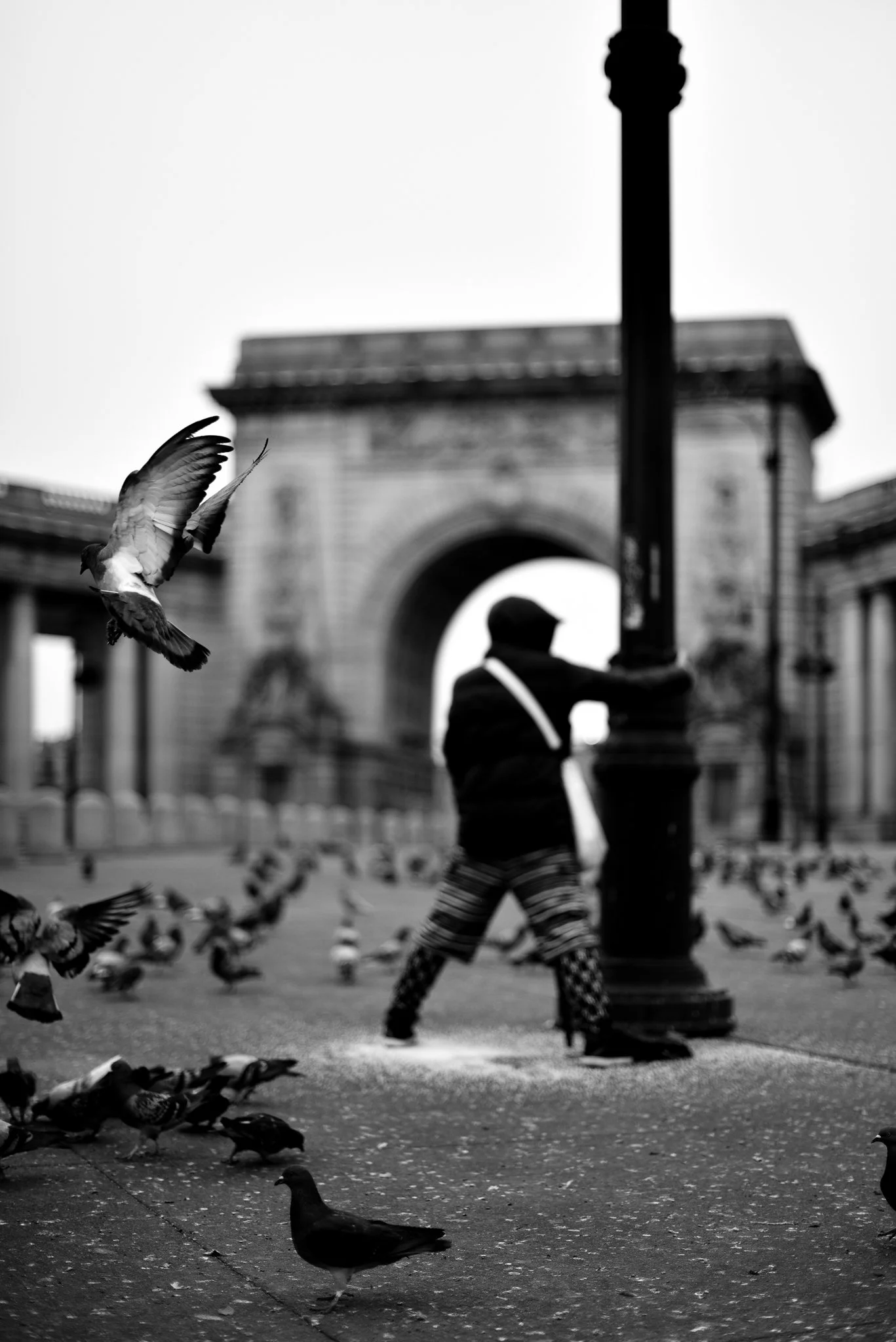 The Bird Man.jpg