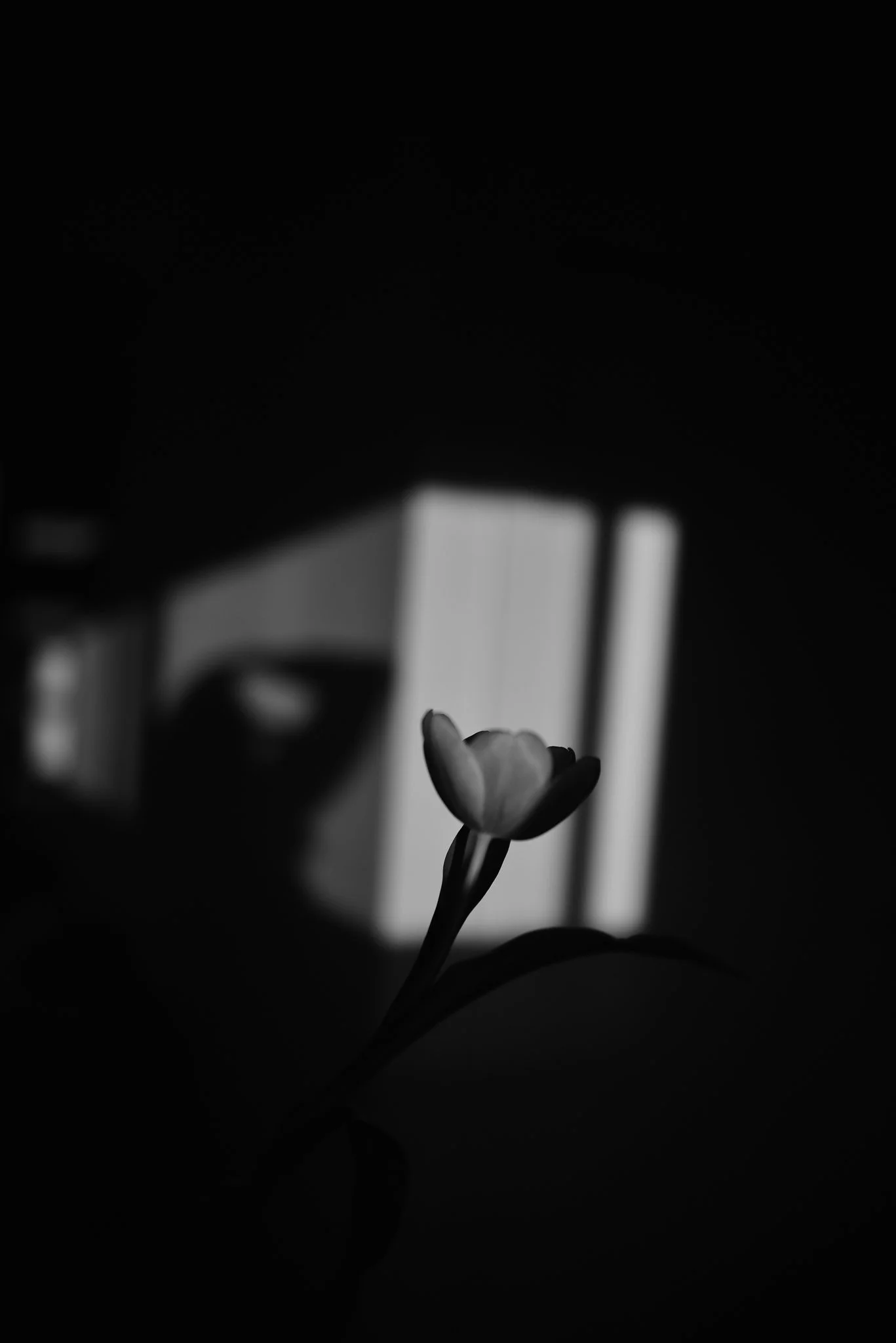 DSC_9193.jpg