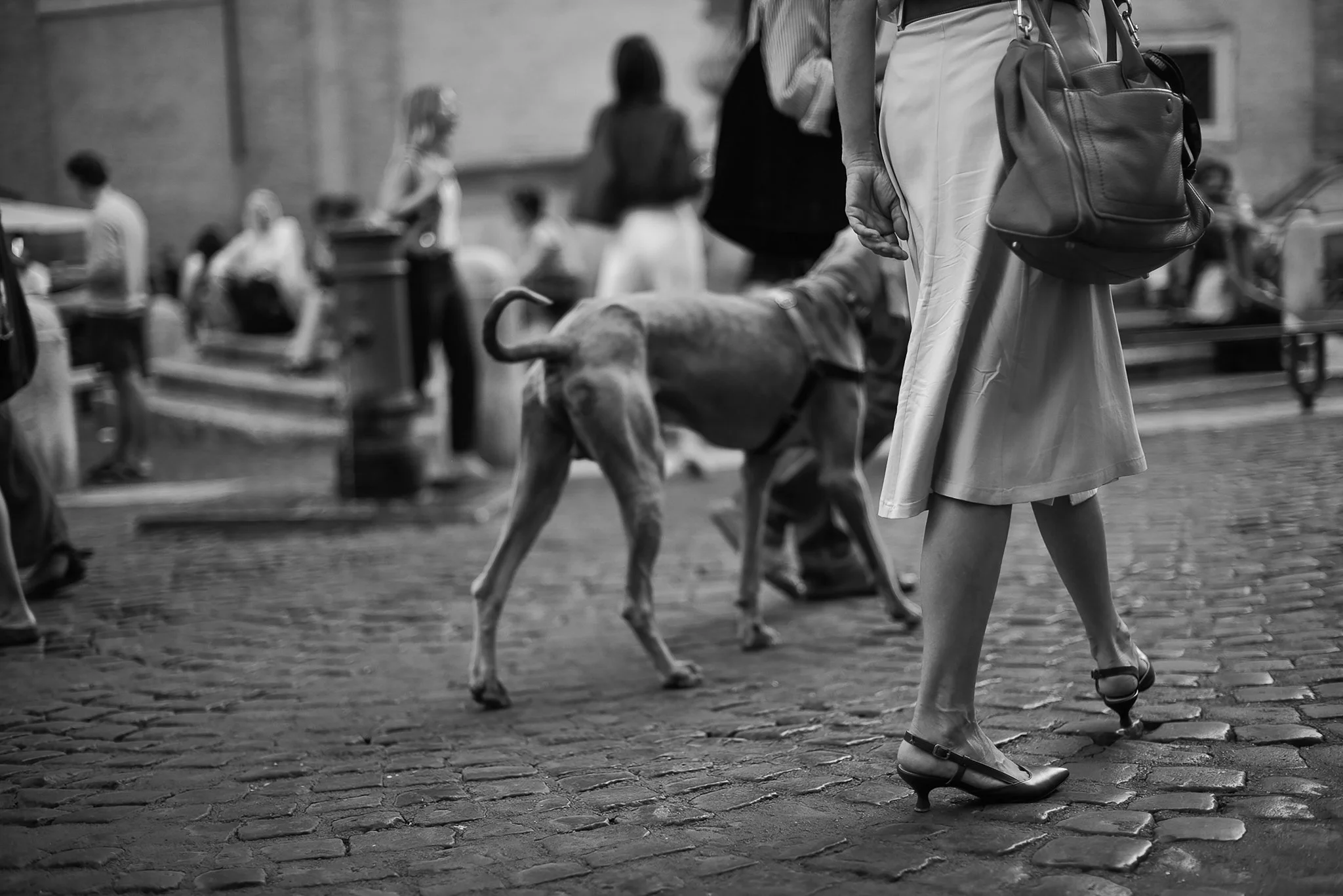 lady with dog in rome bnw.jpg
