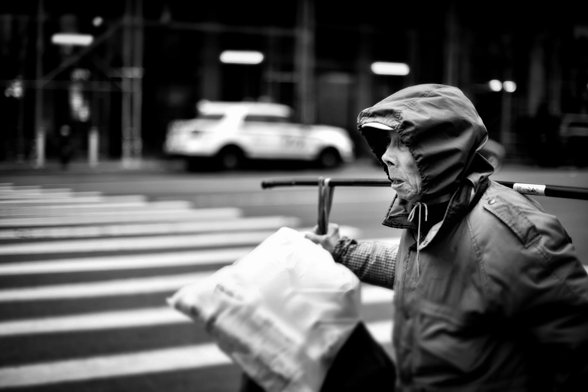 Fighting to Survive.jpg