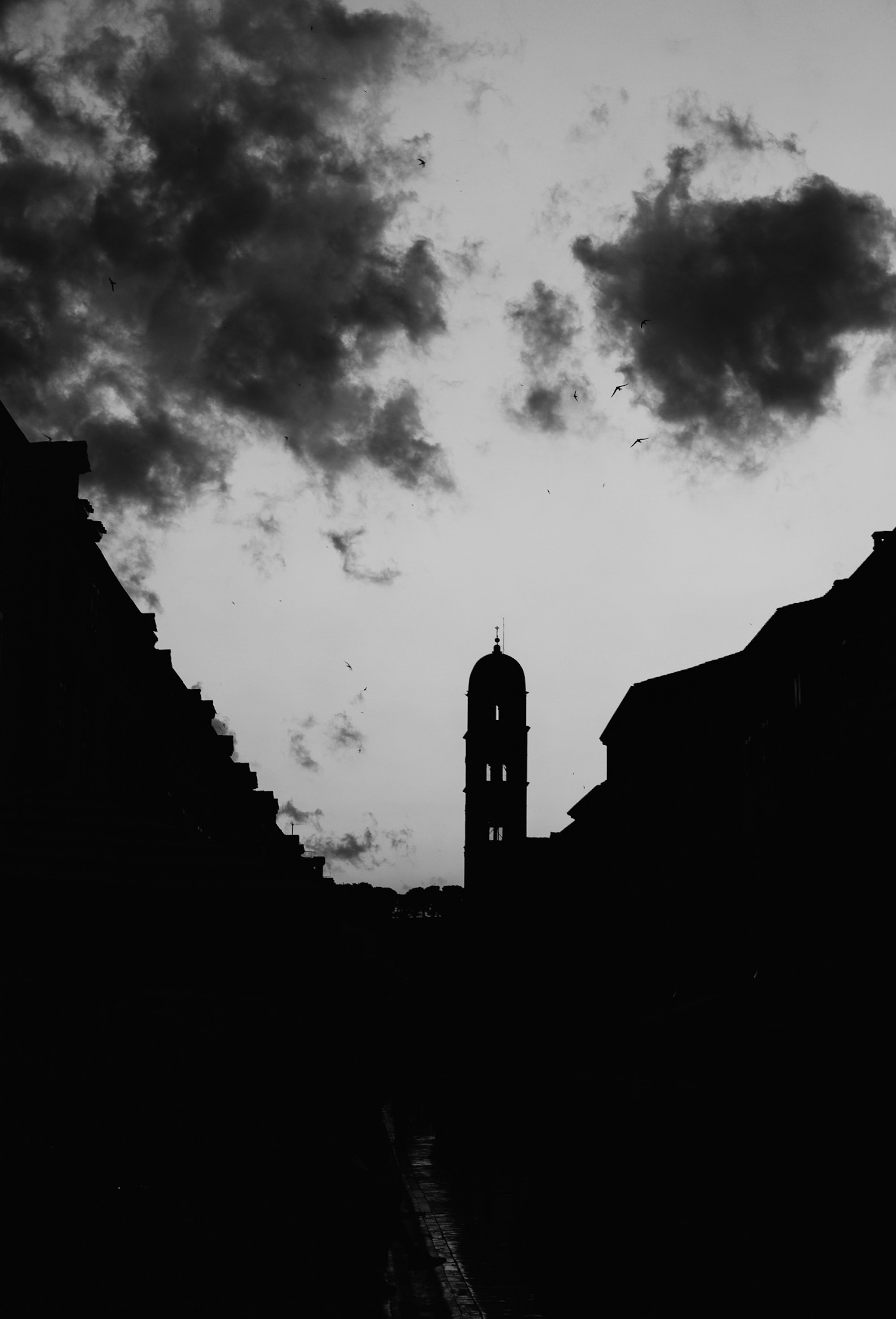 DSC_2428-Edit.jpg