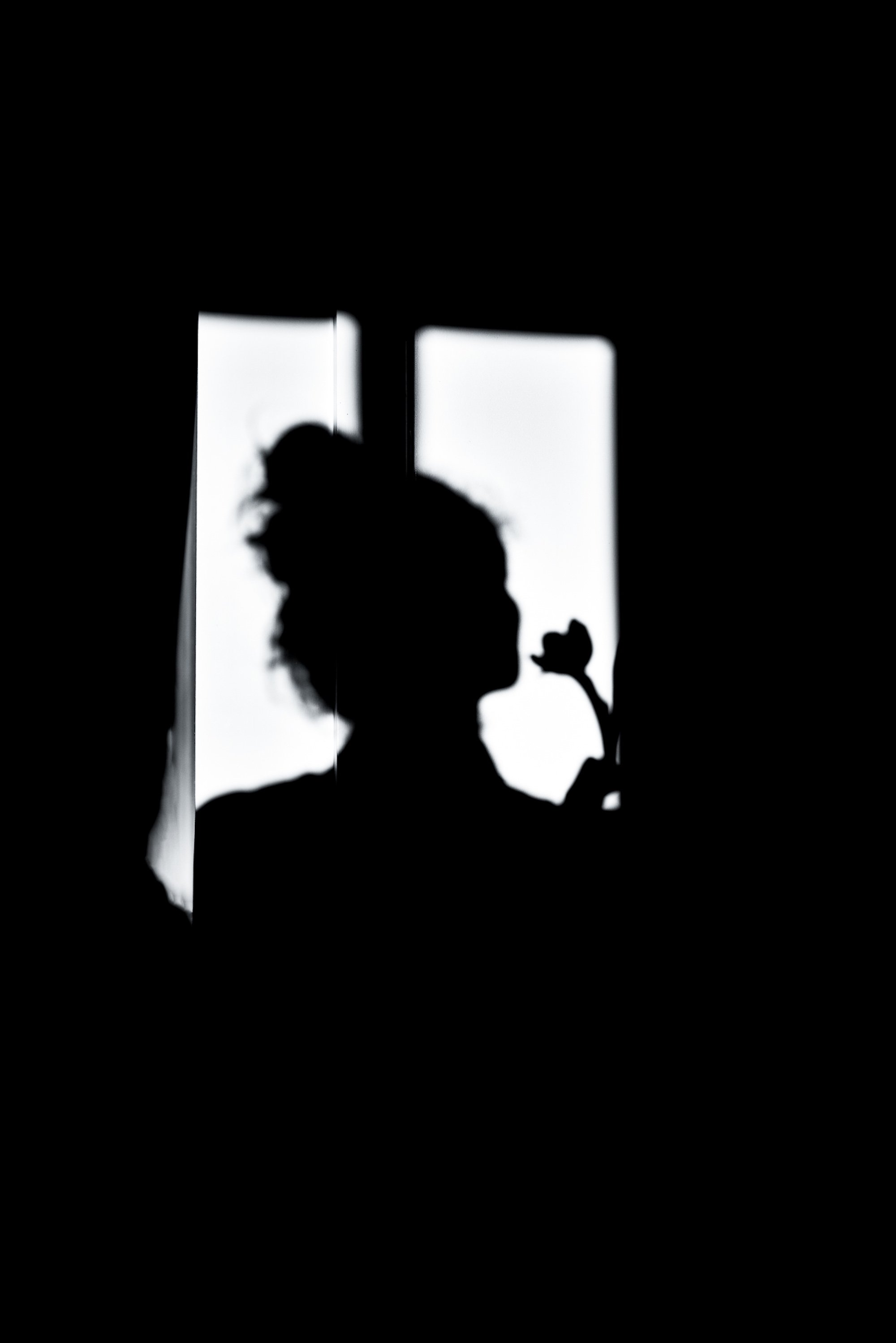 Silhouette of a woman with a bun hairstyle holding a flower, set against a background of a bright window