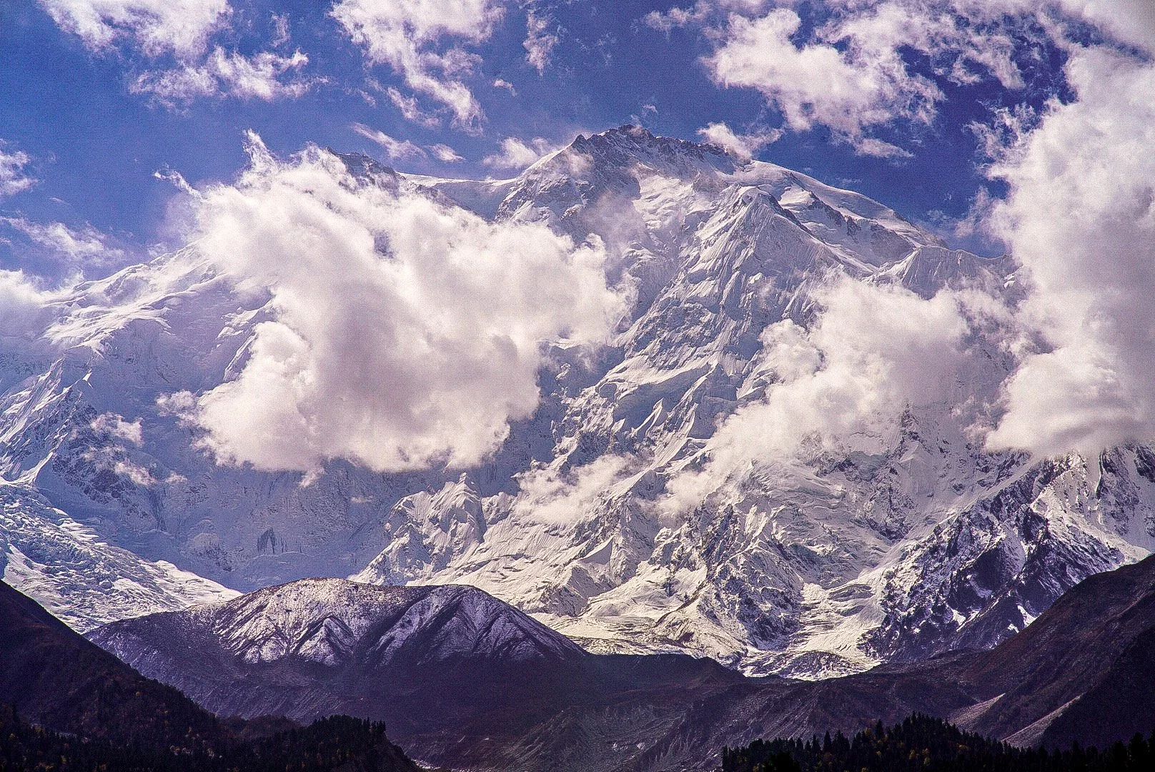 78D4023B-001F-4391-902A-67E86F017D30.JPEG