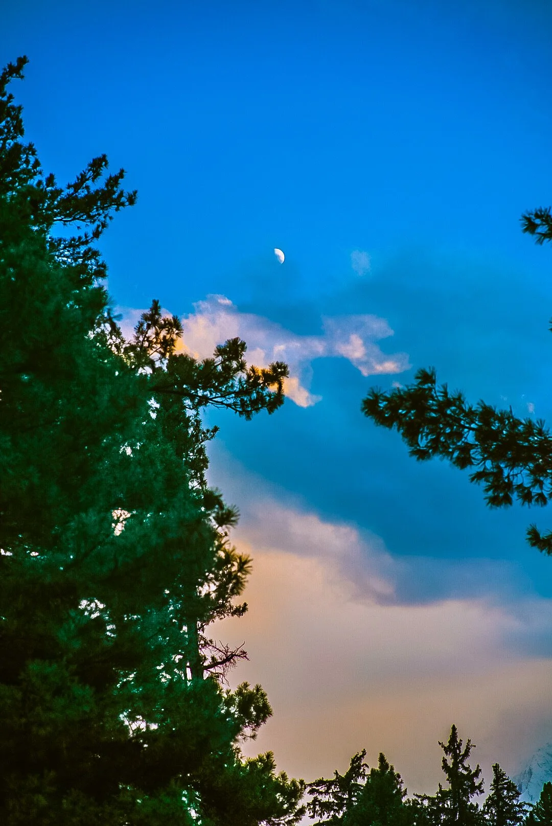 990A0768-5DB2-463C-BB91-60EC68DE21A0.JPEG