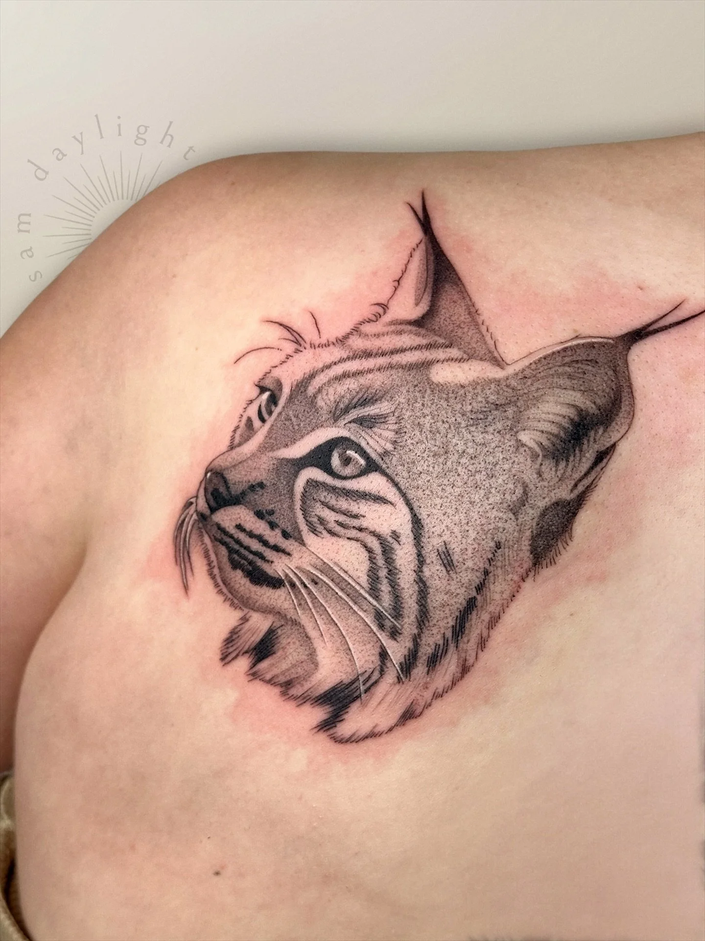 A sweet bobcat for an even sweeter Abigail. This was so fun to make, thank you for choosing me to tattoo you again 😻 Reminder that my books are OPEN in Portland, book through the link in my bio 💗
.
.
.
#pdxtattoo #portlandtattooartist #oregontattoo