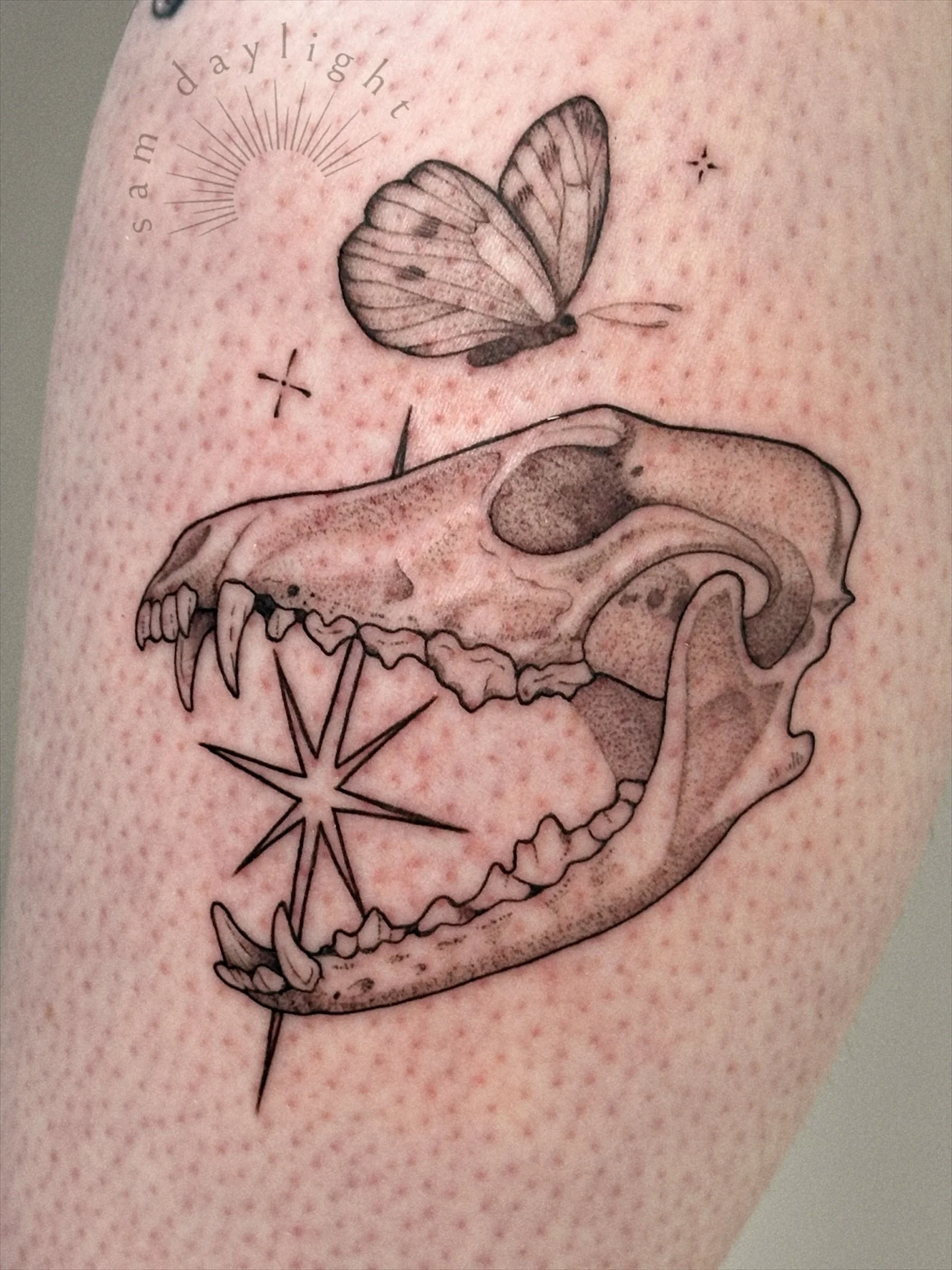 One of my favorites! I still haven&rsquo;t been able to stop thinking about it even though I made this 2 months ago 😅 Cheers to finally posting it!!
.
.
.
#PortlandTattooArtist #FineLineTattoo #OregonTattooArtist #PortlandTattooShop