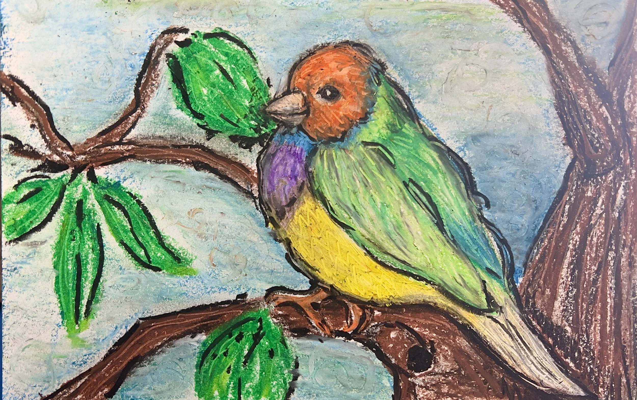 Oil Pastel on paper, 2023