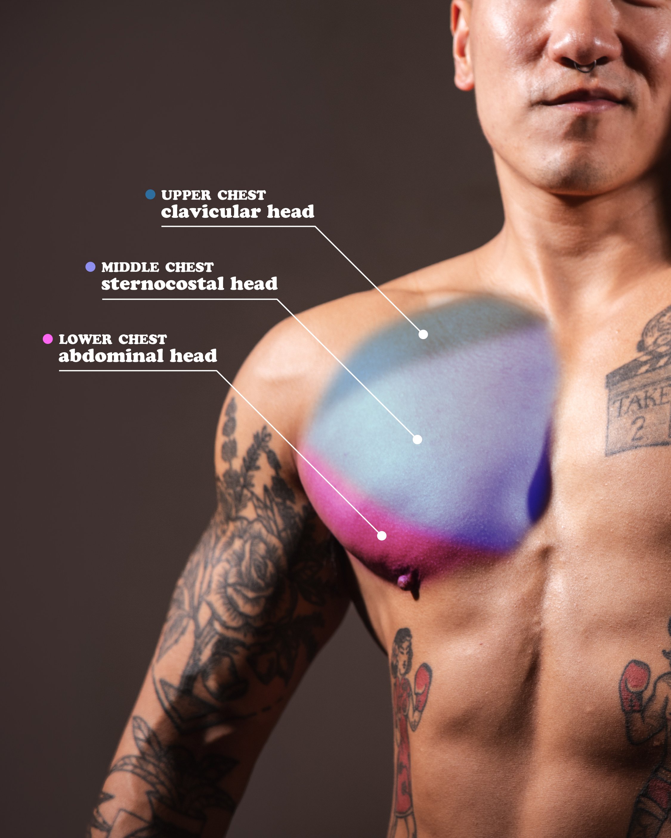 The Trans Masc Guide to Building Your Chest