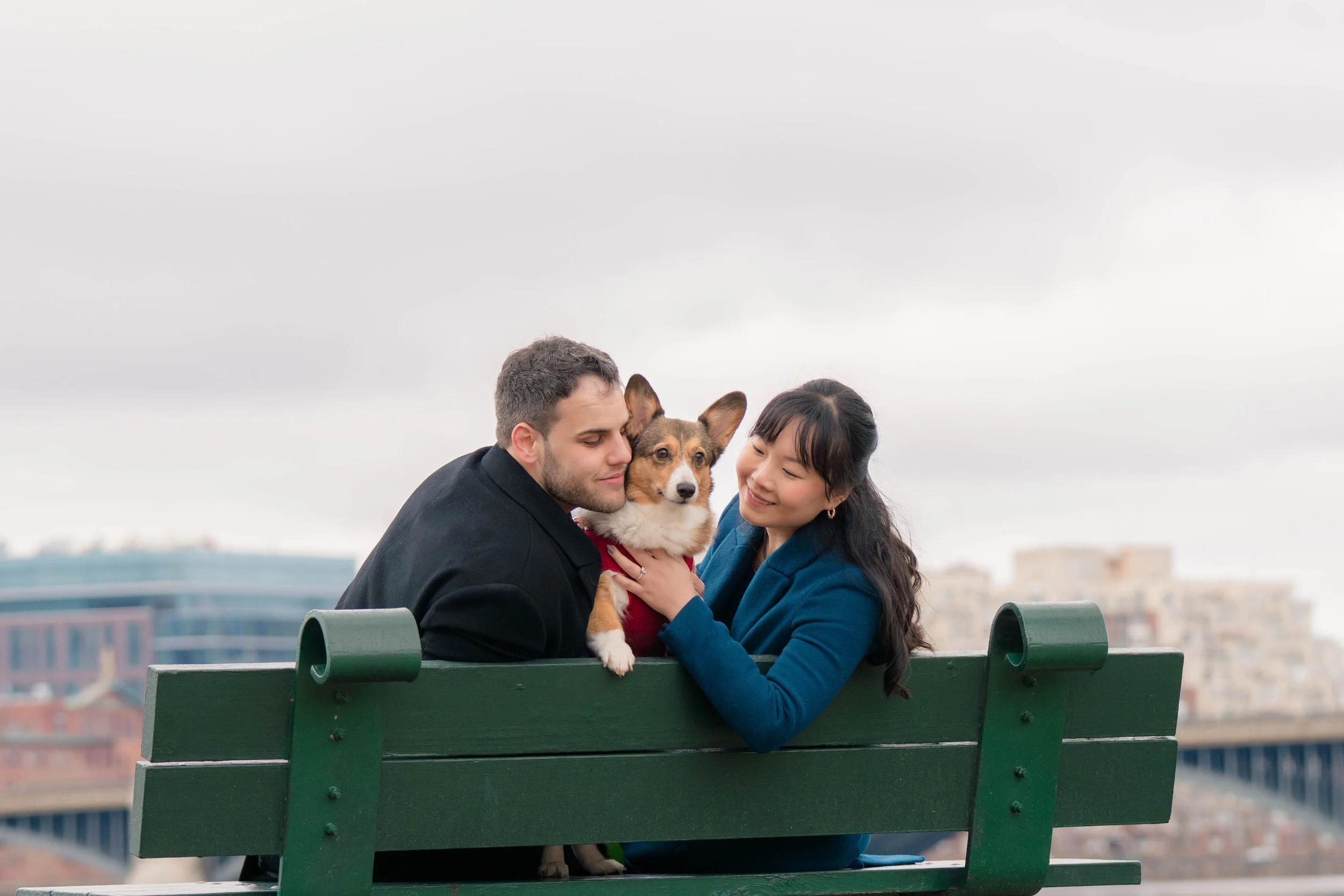 A man and woman sitting on a green park bench, holding a small dog with large ears and a reddish-brown coat, on a cloudy day with city buildings in the background.