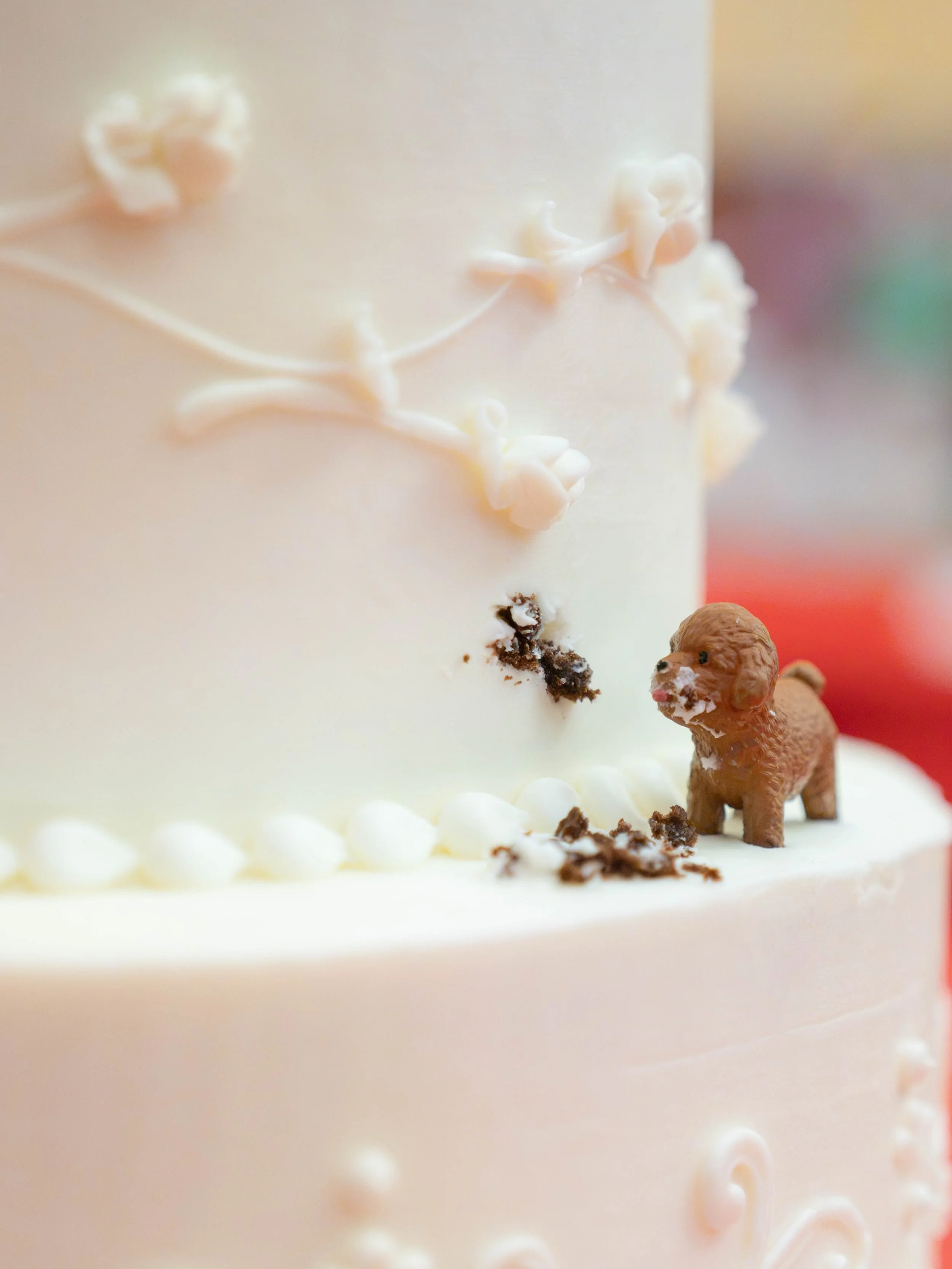 A tiny crime was committed at the wedding. 
The suspect: Leo. Evidence? Frosting on his face. 😂🐾🎂