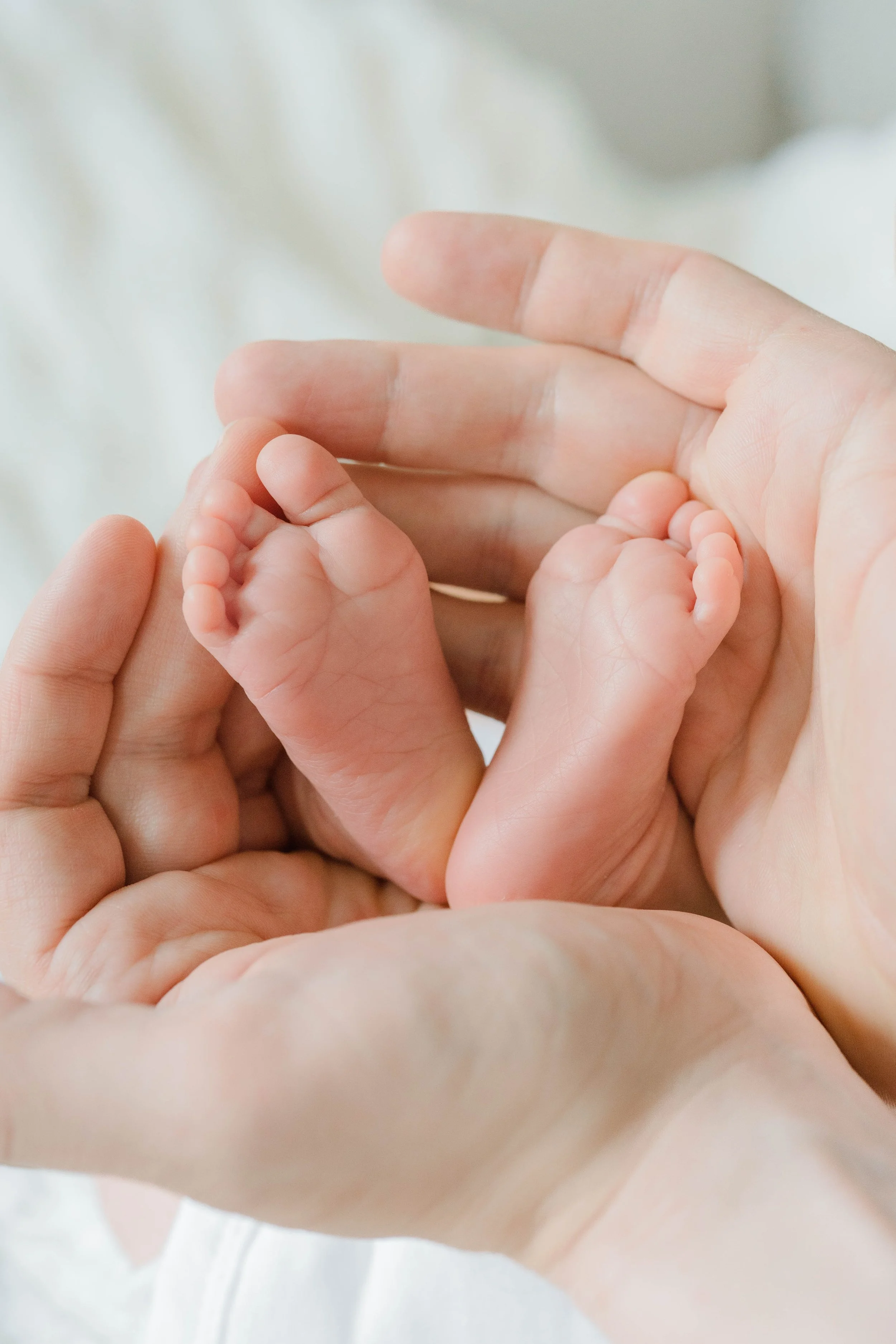 Close-up of an adult hand holding a small infant's hand.