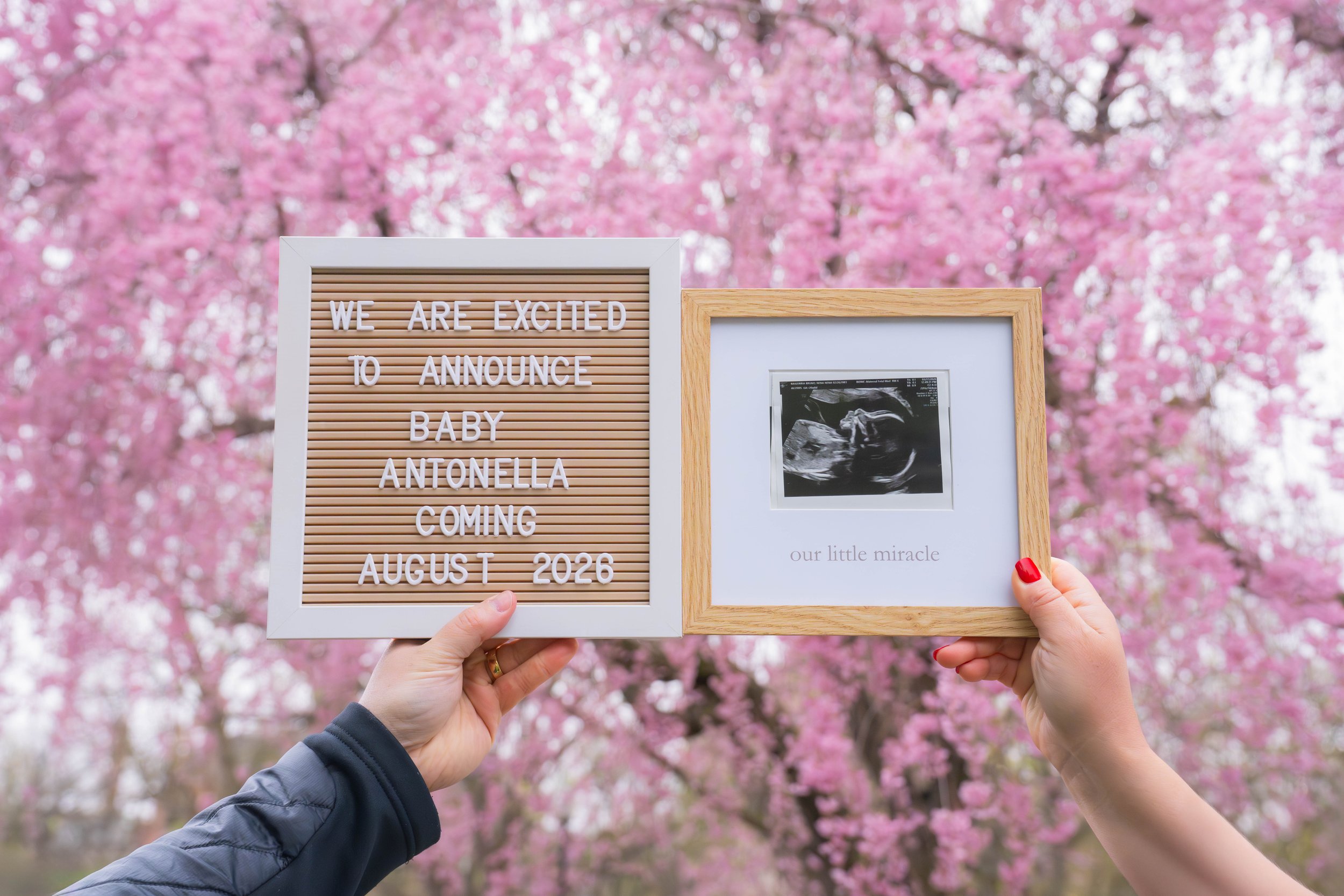 Two people hold signs in front of pink flowering trees. One sign is a letter board with the message, "We are excited to announce baby Antonella coming August 2026." The other sign is a framed ultrasound image with the caption, "our little miracle."