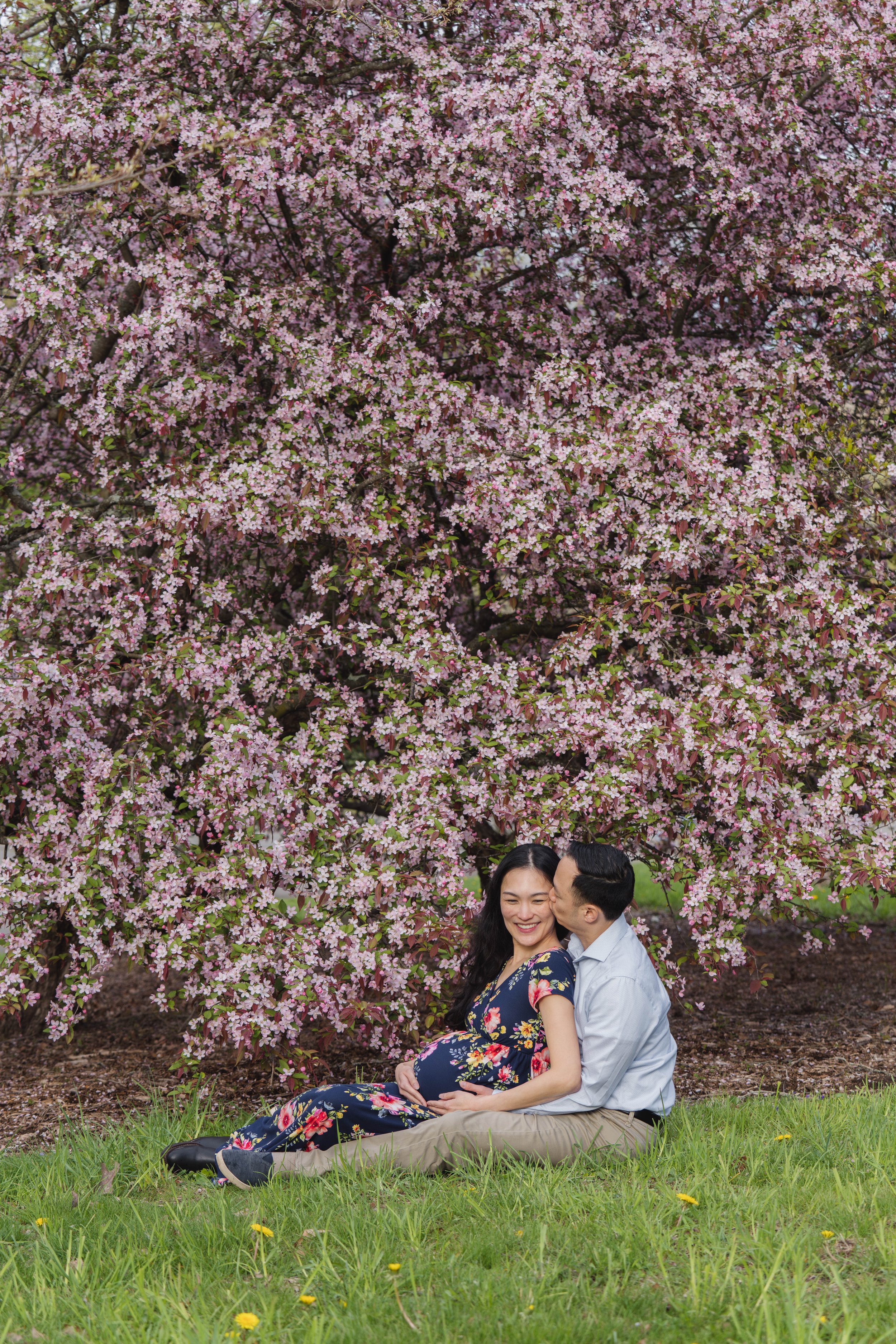 A pregnant woman and a man sitting on grass under a flowering pink tree, smiling and sharing a kiss.