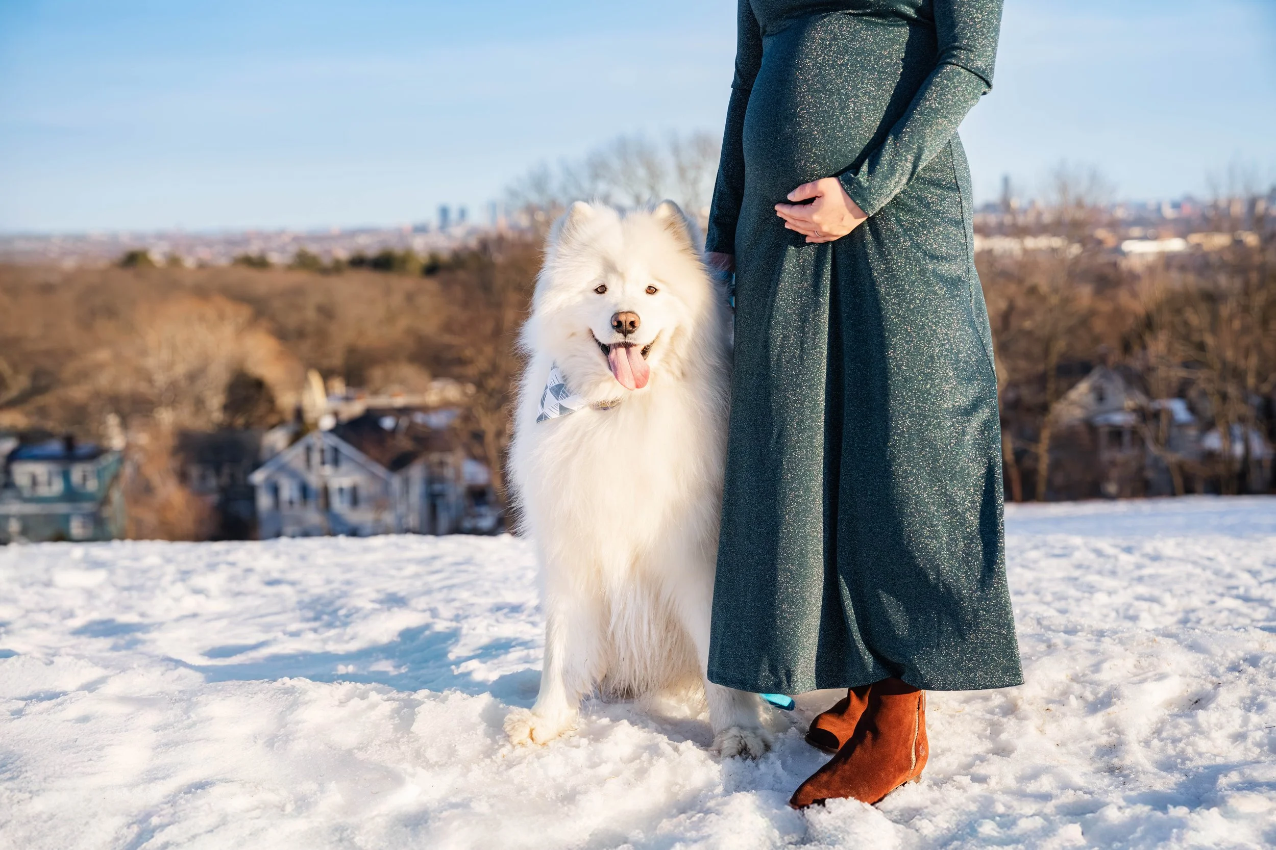 A person in a sparkly teal coat and brown boots stands in snow with a white dog, holding a paw and showing the dog smiling with tongue out. Background includes winter landscape and city skyline.