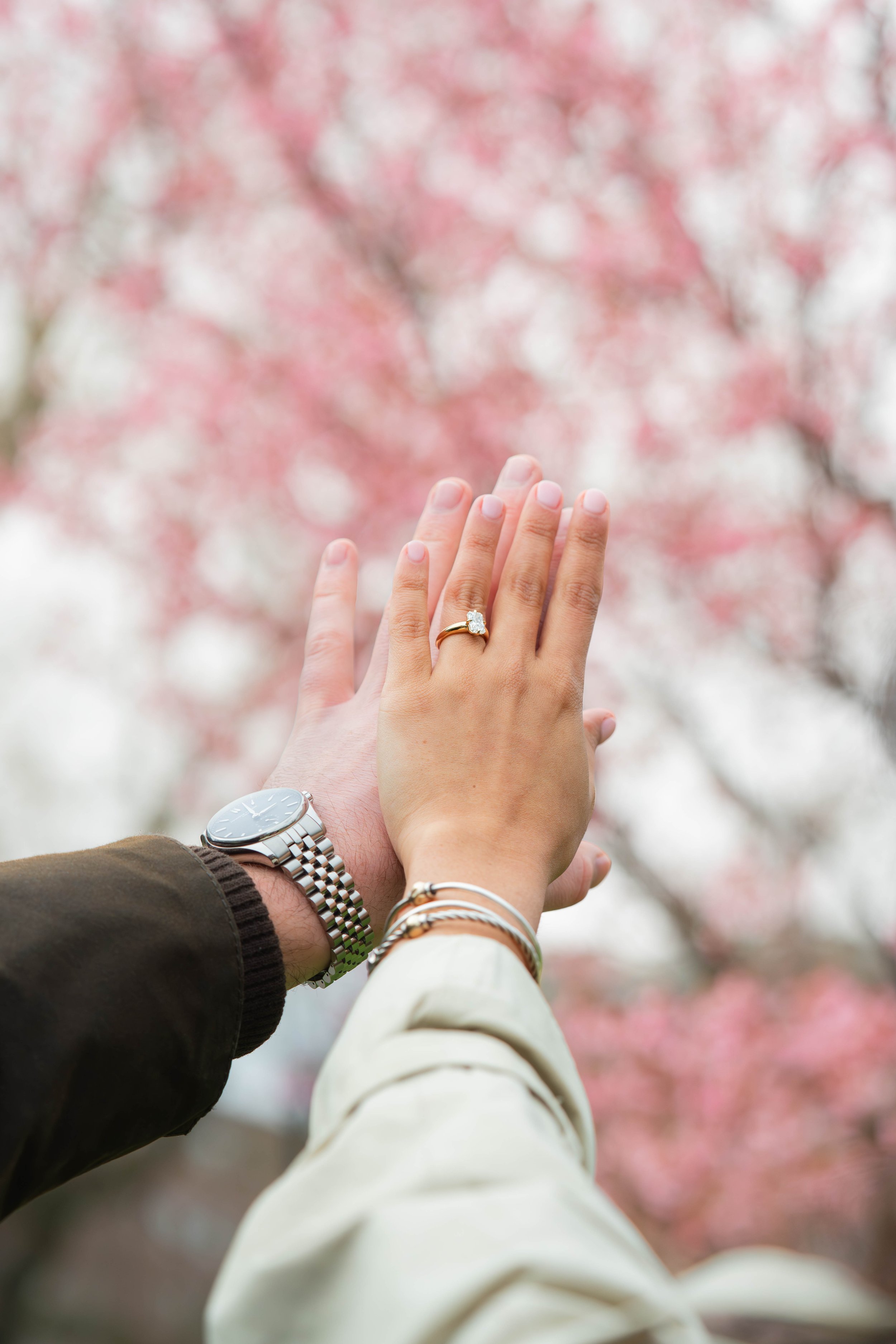 Close-up of hands with wedding ring and wristwatches, reaching towards blossoming pink cherry trees in the background.