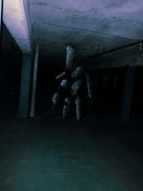 SCP-173 The living statue, Wiki