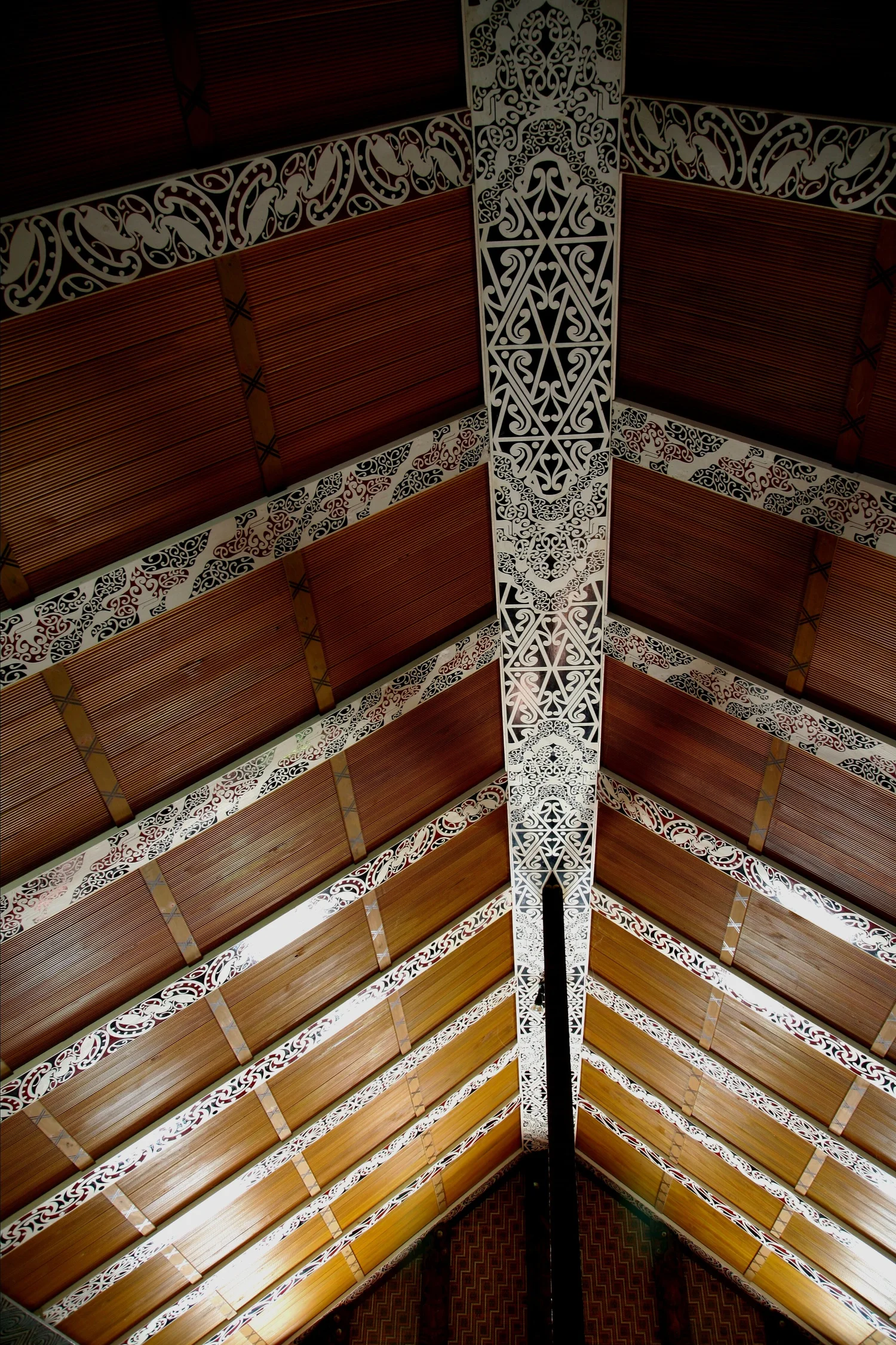 Tane Rangatira Ngāti Toa Rangatira