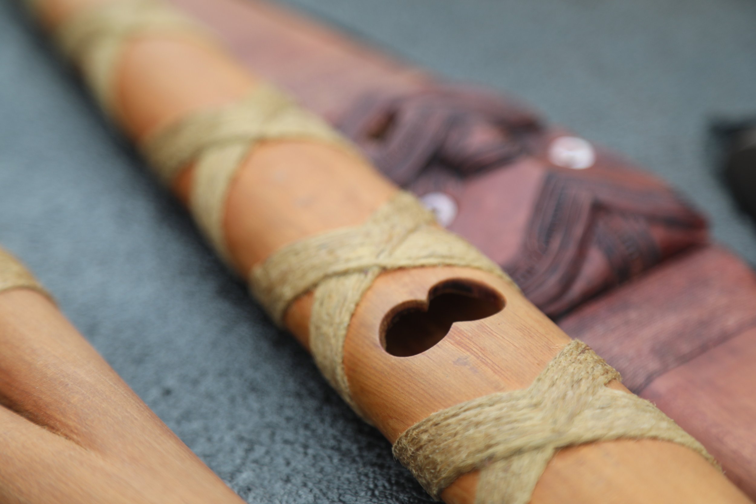 Toi — Ngāti Toa Rangatira
