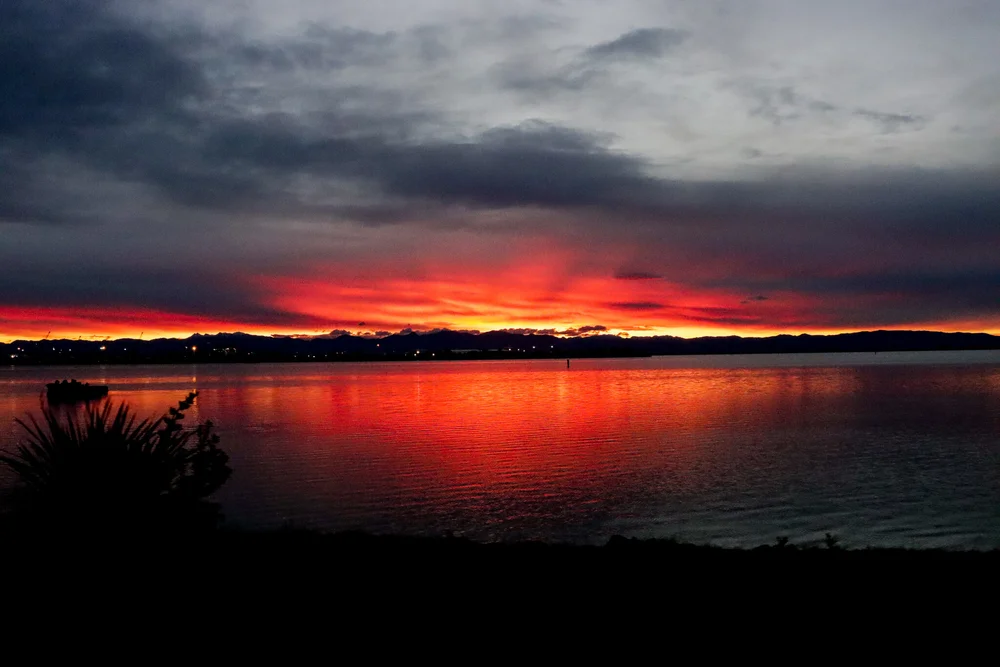 Tane Rangatira General 1 — Ngāti Toa Rangatira