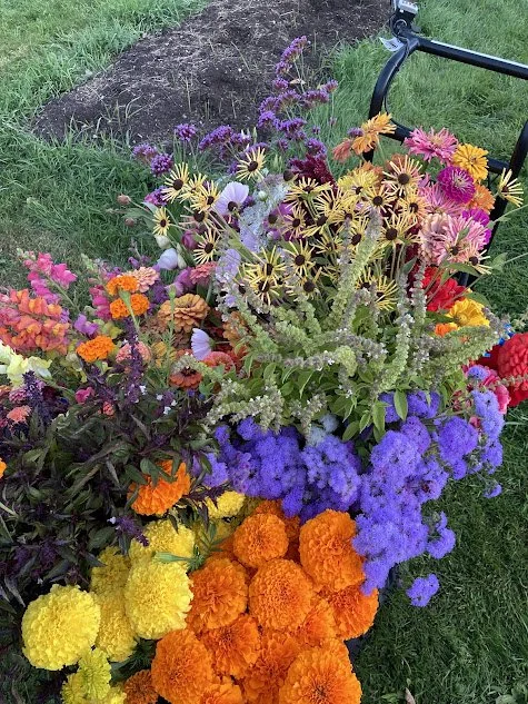 full flower cart.jpg