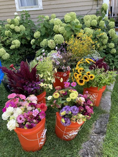 buckets of flowers.jpg