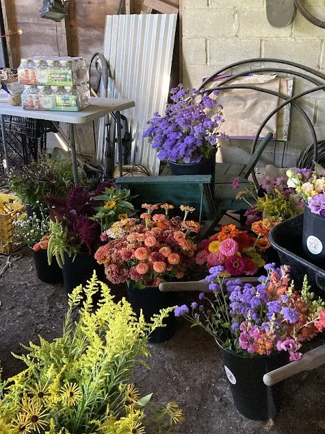 flowers in the work area.jpg