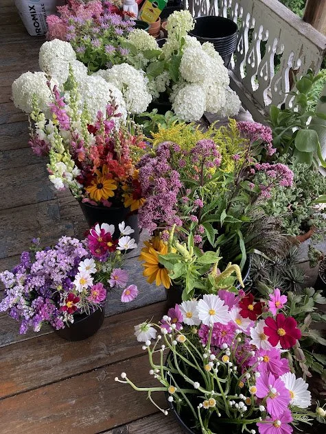 flowers on the porch.jpg
