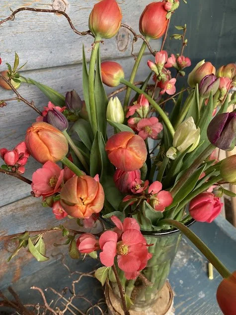 mother's day tulips.jpg