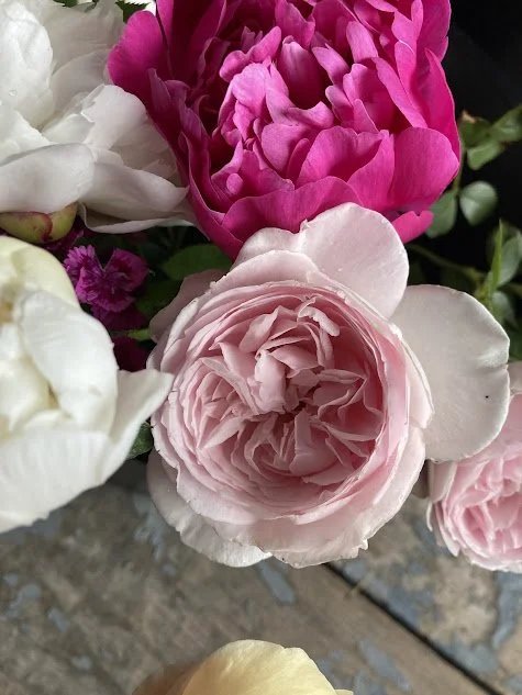 peonies.jpg