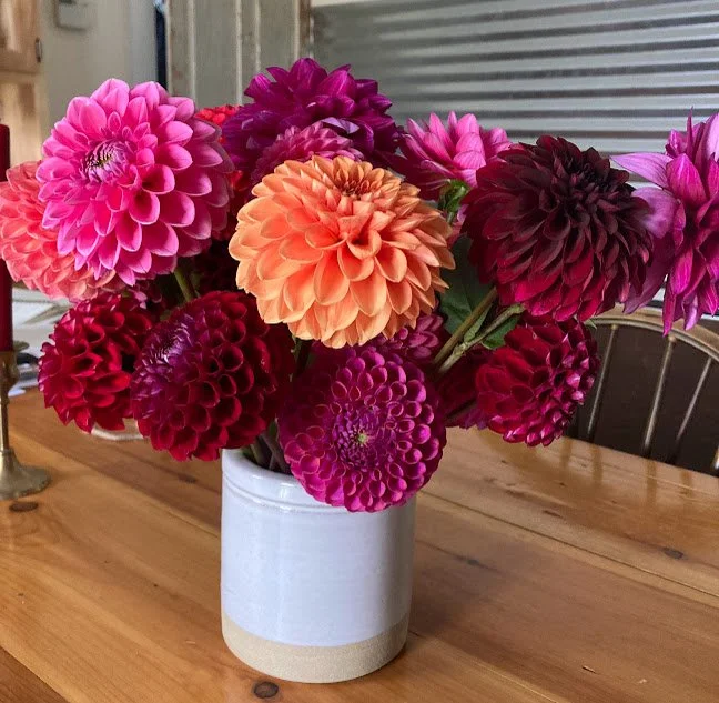 dahlia bouquet.jpg