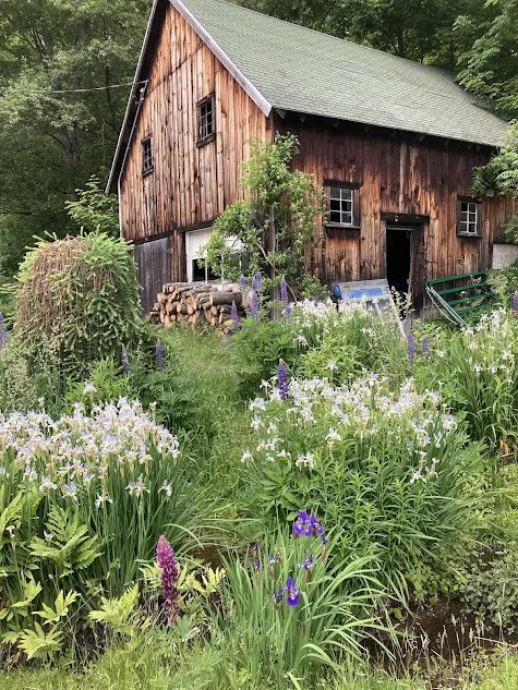 garage and iris.jpg
