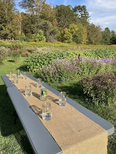 workshop in the field.jpg