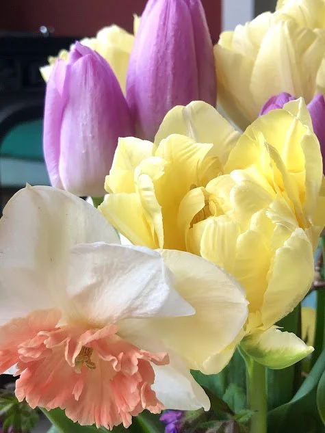 tulips and daffs.jpg