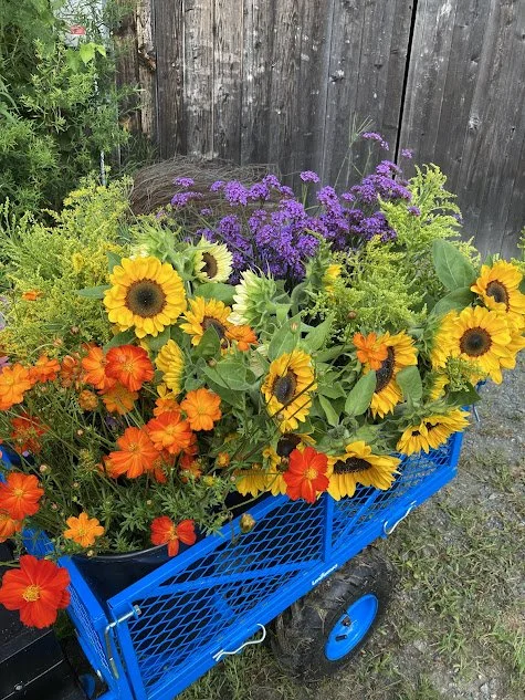 orange and yellow cart.jpg