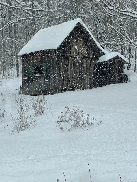 shed in the snow.jpg