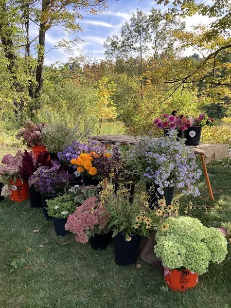 workshop flowers.jpg