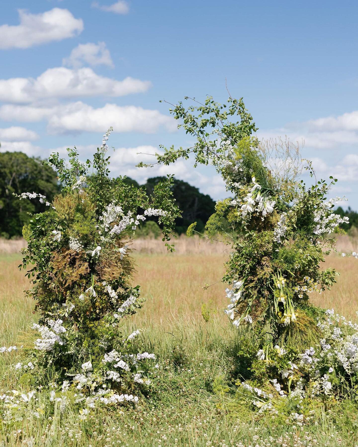 ethereal meadow arbor of my garden floral dreams. 

learned so much here this past spring, thank you @ironandclayflowers ✨

📷 @marstonphotography 

Loved creating this with
@thehouseofbb 
@eufloriaflowerco 
@sarahattherod 
@raisingorganicpeanuts 

?