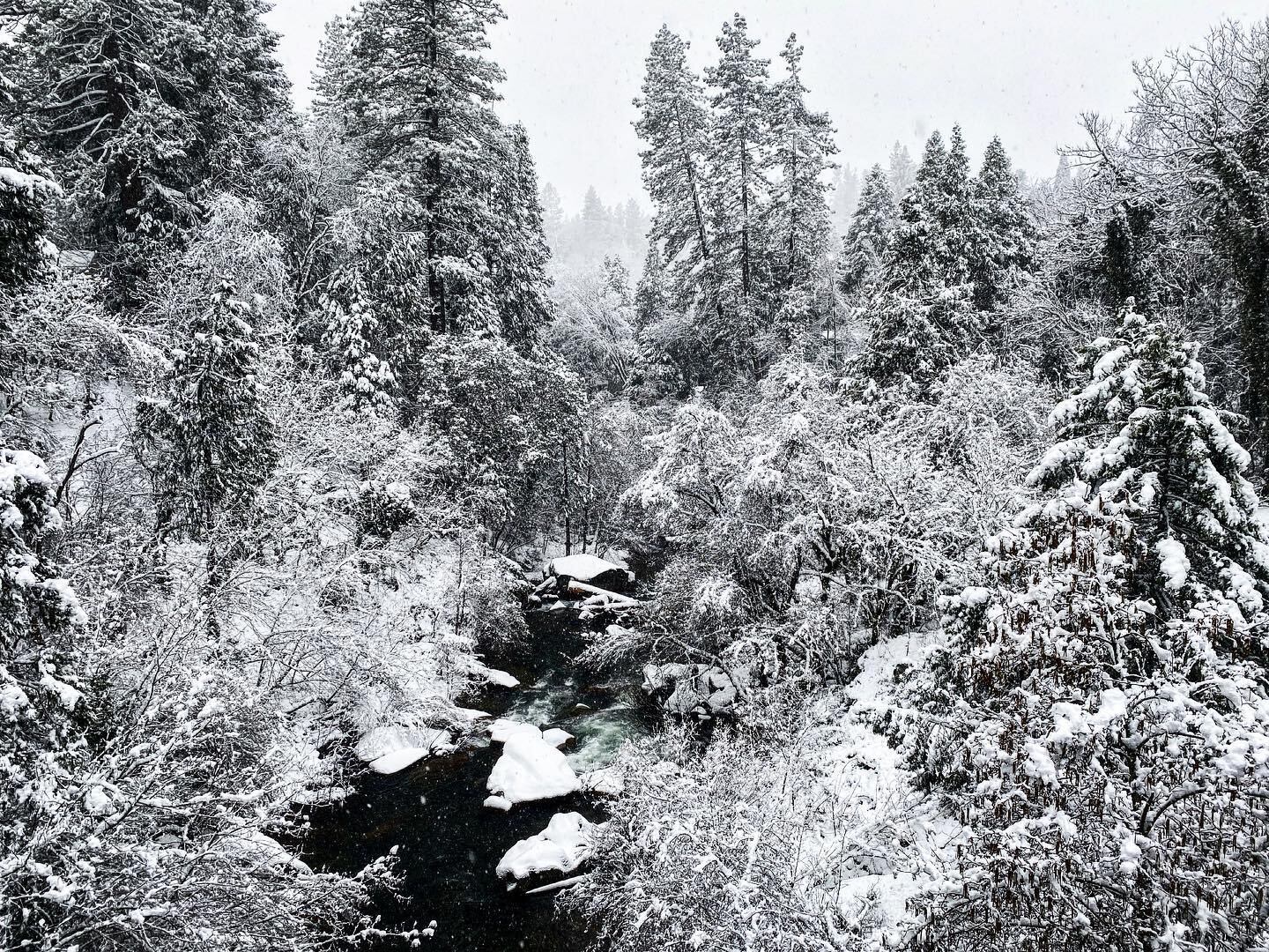 Snow World