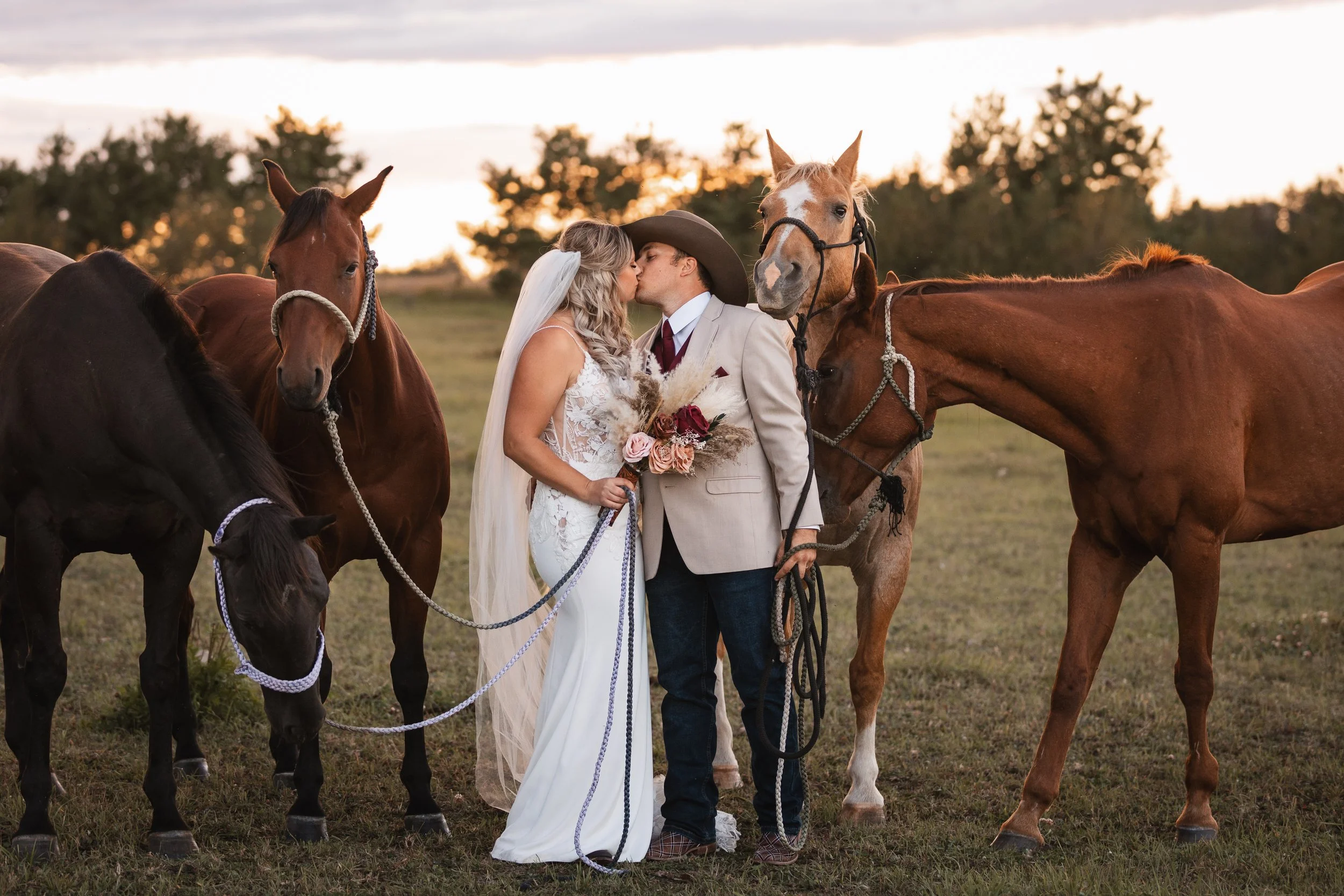 horses-35.jpg