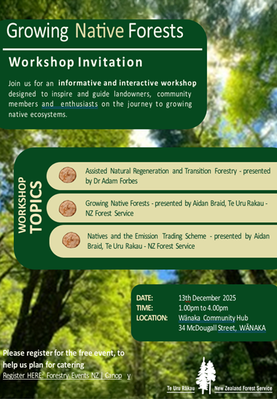 Growing native forests workshop – Wānaka